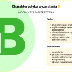 Charakterystyka wyzwalania typu B: łagodny, szybka reakcja na przeciążenia, chroni elektronikę. Zastosowanie: oświetlenie, gniazda, sprzęt komputerowy.