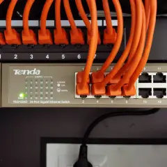 Pomarańczowe kable sieciowe podłączone do przełącznika Tenda TEG1024D, tworzące sieć LAN w domu.