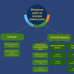 Schemat pokazuje, ile się płaci za prąd miesięcznie: opłaty za towar (energię) i dystrybucję (utrzymanie sieci, bezpieczeństwo, wsparcie).