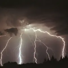 Potężne wyładowania elektryczne rozświetlają nocne niebo, ukazując, ile volt ma piorun. Burza nad horyzontem z drzewami w ciemnej sylwetce.