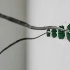 Przewody elektryczne wychodzą z zielonych puszek instalacyjnych w ścianie. Prąd w obu przewodach jest gotowy do podłączenia.