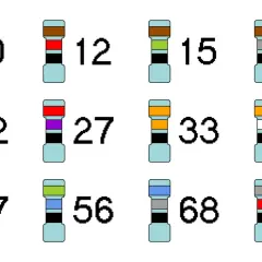 Kolorowe paski na symbole rezystorów wskazują ich wartości: 10, 12, 15, 18, 22, 27, 33, 39, 47, 56, 68, 82.