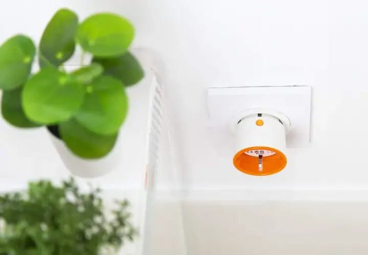 Inteligentne gniazdko w ścianie, idealne do rozpoczęcia przygody ze smart home. Obok zielone rośliny.